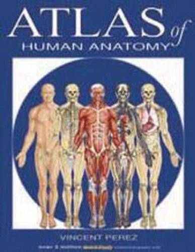 Cover image for Atlas of Human Anatomy