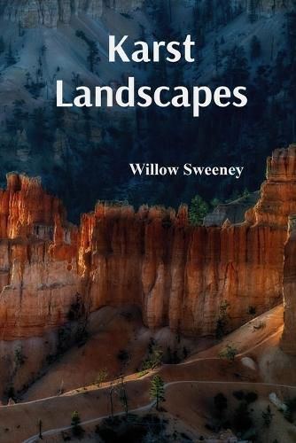 Cover image for Karst Landscapes