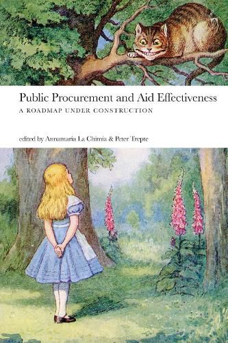 Public Procurement and Aid Effectiveness: A Roadmap under Construction