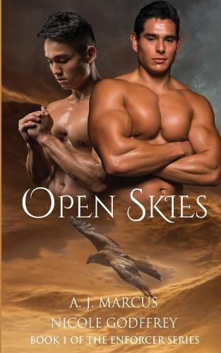 Cover image for Open Skies