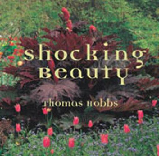 Cover image for Shocking Beauty