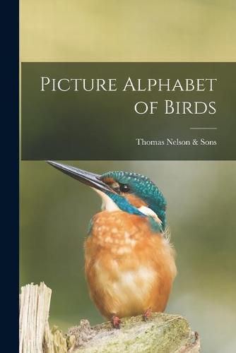 Picture Alphabet of Birds