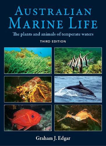 Cover image for Australian Marine Life