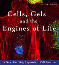 Cover image for Cells, Gels and the Engines of Life: A New Unifying Approach to Cell Function
