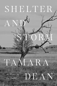 Cover image for Shelter and Storm