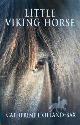 Little Viking Horse