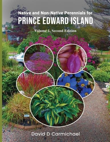 Cover image for Native and Non-Native Perennials for Prince Edward Island