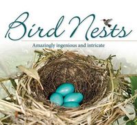 Cover image for Bird Nests: Amazingly Ingenious and Intricate