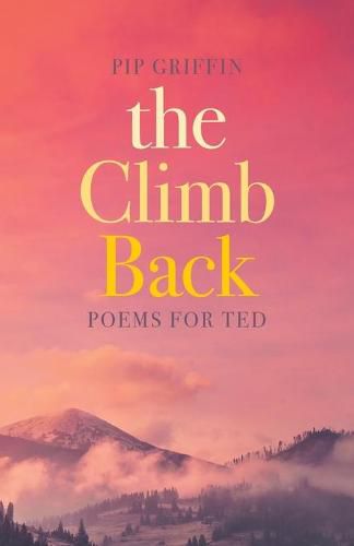 Cover image for The Climb Back