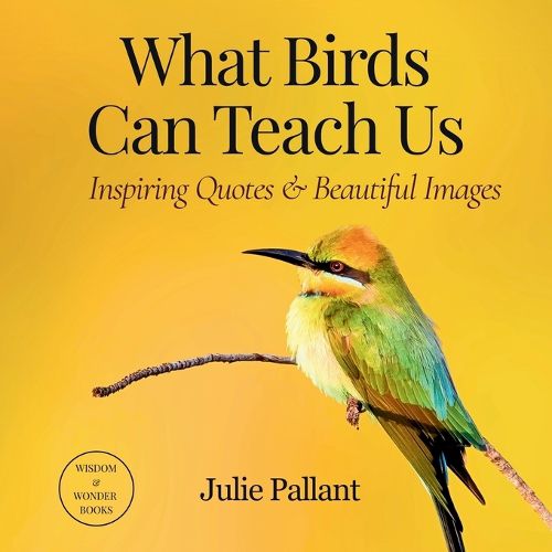 Cover image for What Birds Can Teach Us