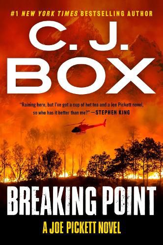 Cover image for Breaking Point