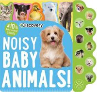 Cover image for Discovery: Noisy Baby Animals!