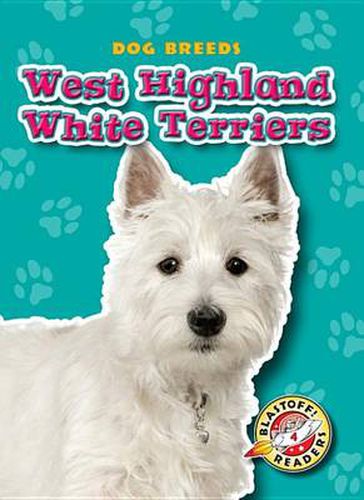 West Highland White Terriers