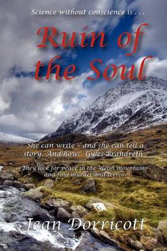 Cover image for Ruin of the Soul