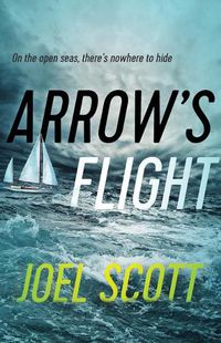 Cover image for Arrow's Flight