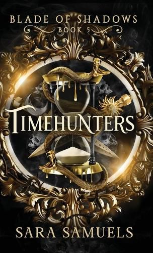 Cover image for Timehunters