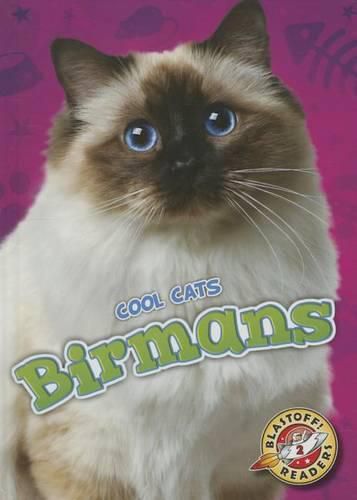 Birmans