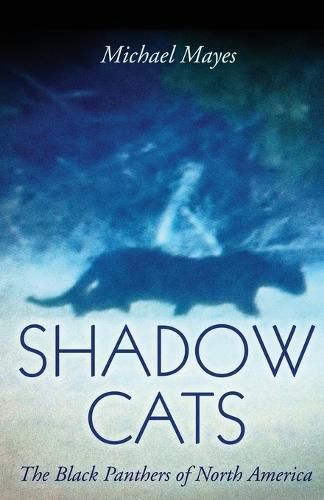 Shadow Cats: The Black Panthers of North America