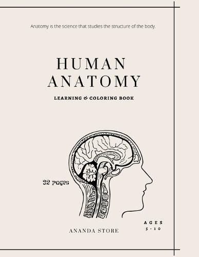 Cover image for Human Anatomy Coloring Book: Human Anatomy Activity Book: An Easy And Simple Way To Learn About Human Anatomy, Anatomy Coloring Book 32 pages in 8.5 x 11 format