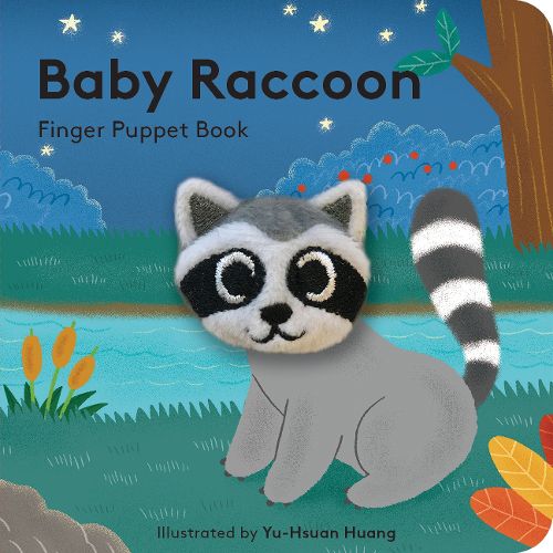 Cover image for Baby Raccoon: Finger Puppet Book