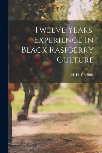 Cover image for Twelve Years' Experience In Black Raspberry Culture