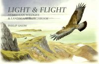 Cover image for Light and Flight