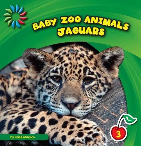 Cover image for Jaguars