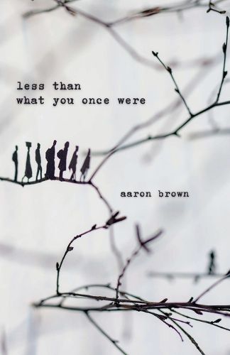 Cover image for Less Than What You Once Were