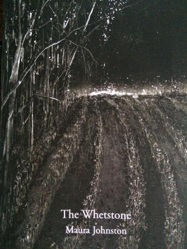 Cover image for The Whetstone