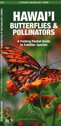 Cover image for Hawai'i Butterflies and Pollinators: A Folding Pocket Guide to Familiar Species