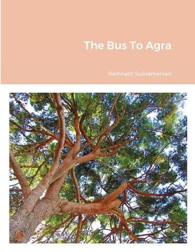 Cover image for The Bus To Agra