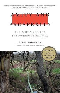 Cover image for Amity and Prosperity: One Family and the Fracturing of America