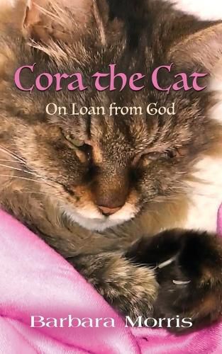 Cover image for Cora the Cat