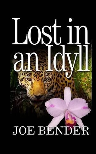 Cover image for Lost in an Idyll