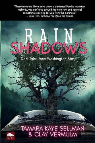 Cover image for Rain Shadows