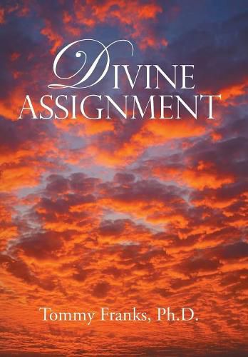 Cover image for Divine Assignment