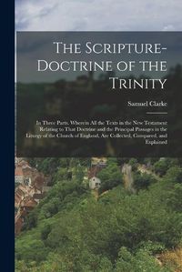 Cover image for The Scripture-Doctrine of the Trinity