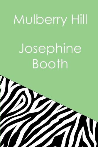 Cover image for Mulberry Hill