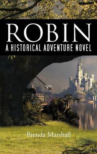 Cover image for Robin