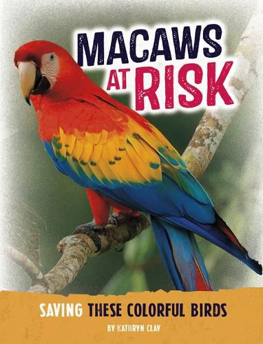 Cover image for Macaws at Risk