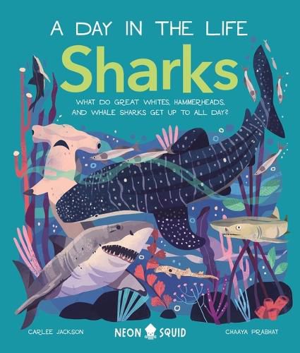 Cover image for Sharks (a Day in the Life): What Do Great Whites, Hammerheads, and Whale Sharks Get Up to All Day?