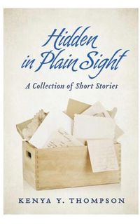 Cover image for Hidden in Plain Sight