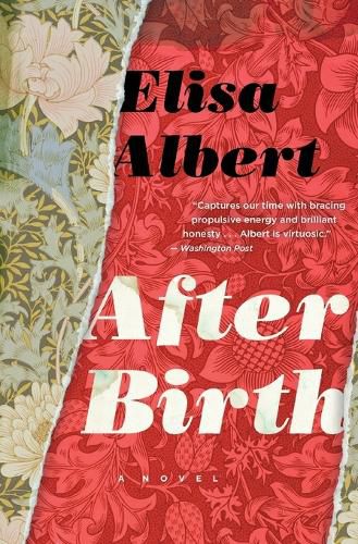 Cover image for After Birth