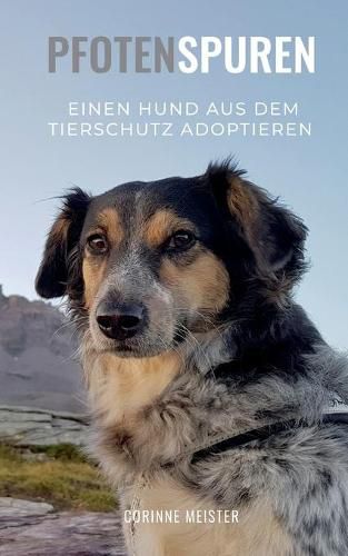 Cover image for Pfotenspuren: Einen Hund aus dem Tierschutz adoptieren