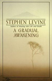 Cover image for A Gradual Awakening