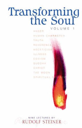 Cover image for Transforming the Soul