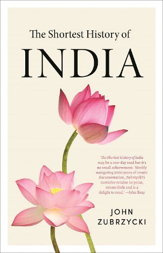 Cover image for The Shortest History of India