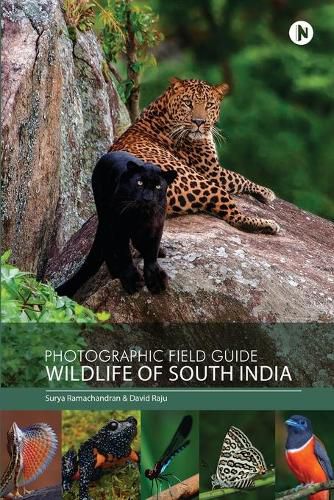 Cover image for Photographic Field Guide - Wildlife of South India