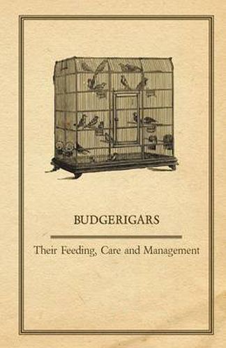 Cover image for Budgerigars - Their Feeding, Care and Management