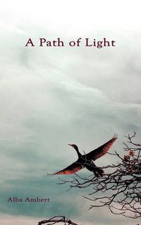 Cover image for A Path Of Light